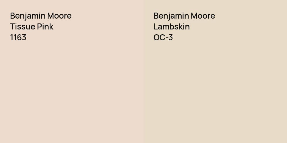 Benjamin Moore Tissue Pink vs. Benjamin Moore Lambskin