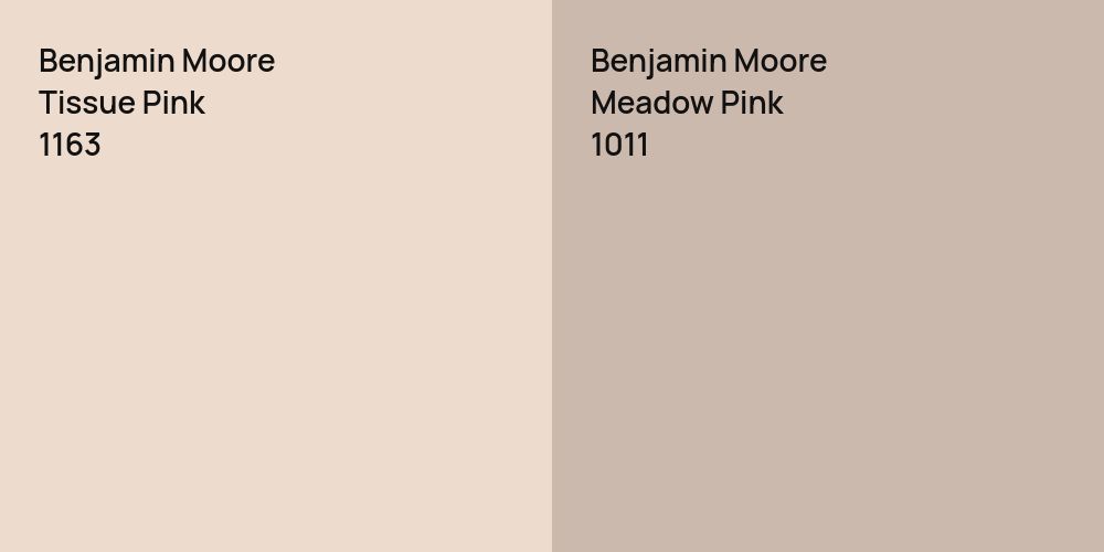 Benjamin Moore Tissue Pink vs. Benjamin Moore Meadow Pink