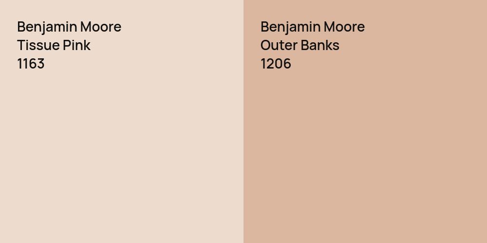 Benjamin Moore Tissue Pink vs. Benjamin Moore Outer Banks