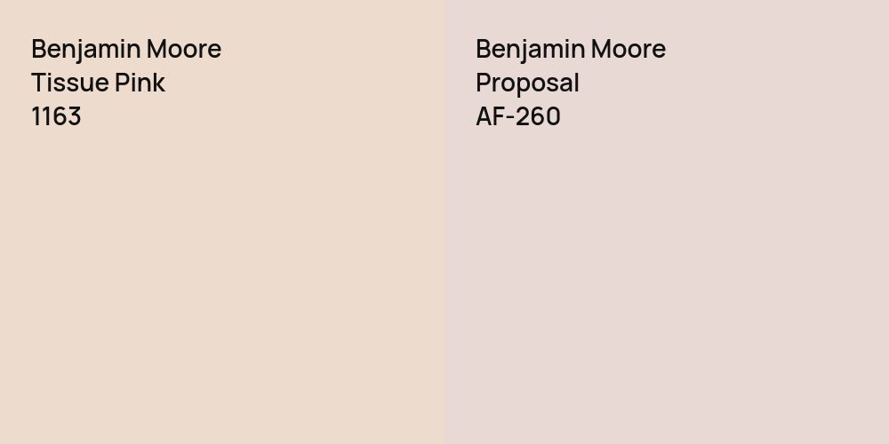 Benjamin Moore Tissue Pink vs. Benjamin Moore Proposal