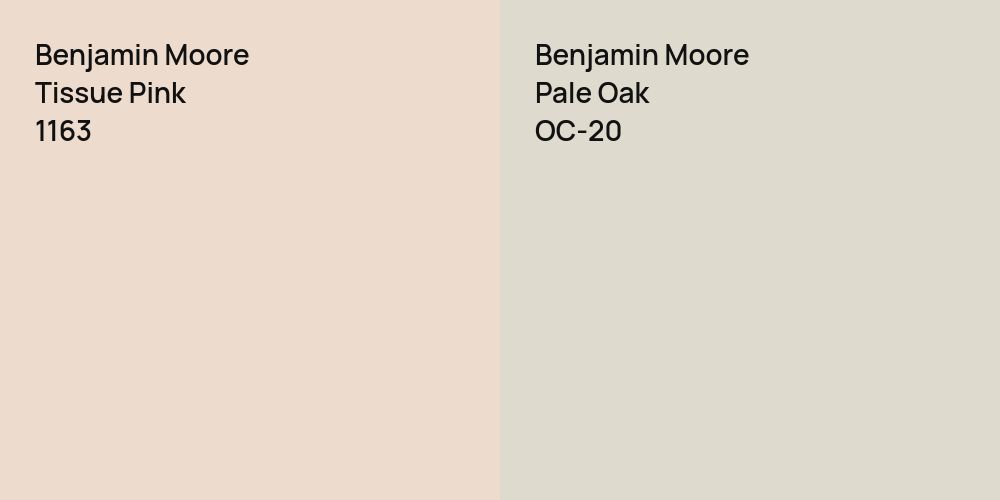 Benjamin Moore Tissue Pink vs. Benjamin Moore Pale Oak