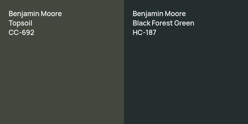 Benjamin Moore Topsoil vs. Benjamin Moore Black Forest Green