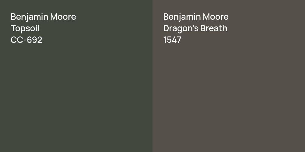 Benjamin Moore Topsoil vs. Benjamin Moore Dragon's Breath