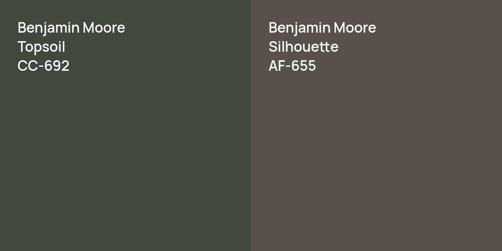 Benjamin Moore Topsoil vs. Benjamin Moore Silhouette