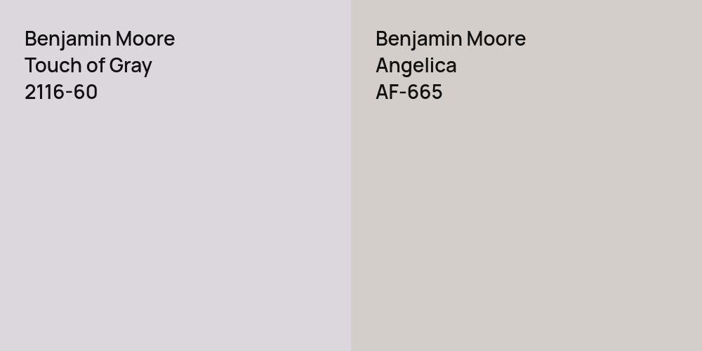 Benjamin Moore Touch of Gray vs. Benjamin Moore Angelica