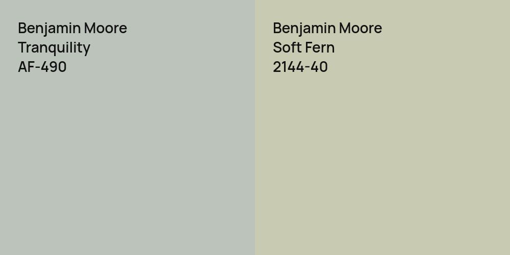 Benjamin Moore Tranquility vs. Benjamin Moore Soft Fern