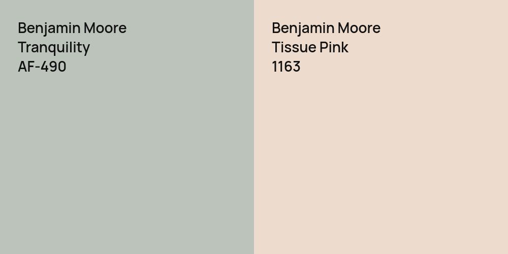 Benjamin Moore Tranquility vs. Benjamin Moore Tissue Pink