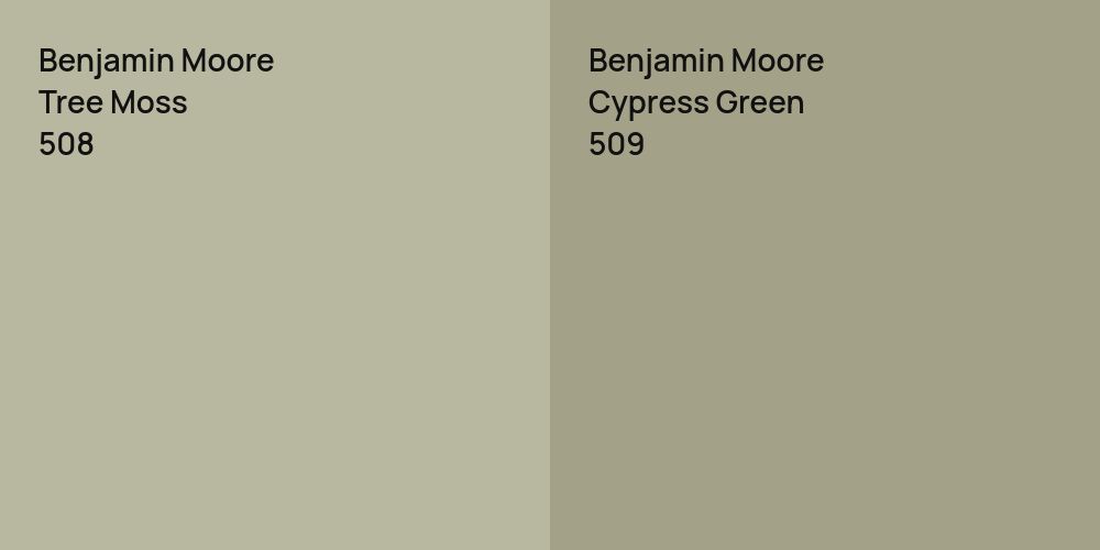 Benjamin Moore Tree Moss vs. Benjamin Moore Cypress Green