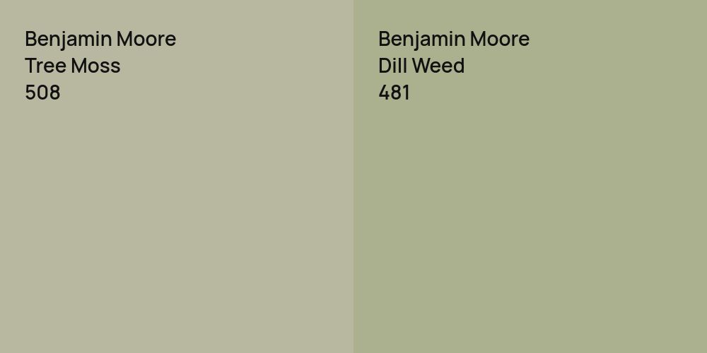 Benjamin Moore Tree Moss vs. Benjamin Moore Dill Weed