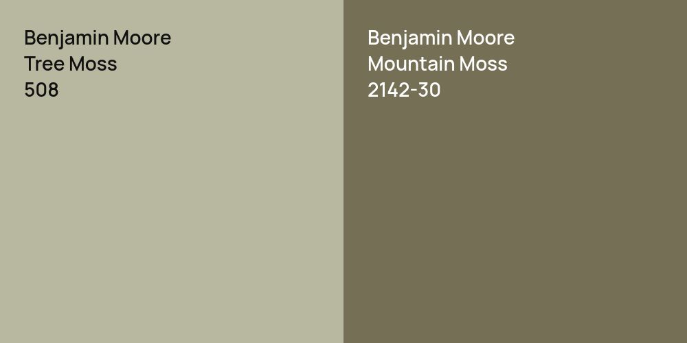 Benjamin Moore Tree Moss vs. Benjamin Moore Mountain Moss