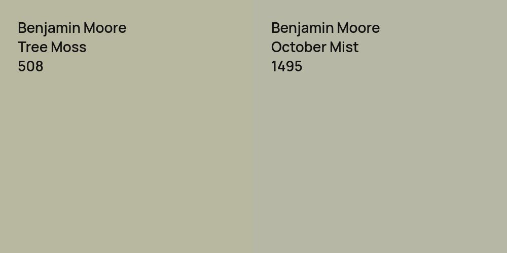 Benjamin Moore Tree Moss vs. Benjamin Moore October Mist