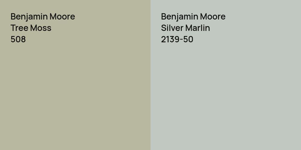 Benjamin Moore Tree Moss vs. Benjamin Moore Silver Marlin