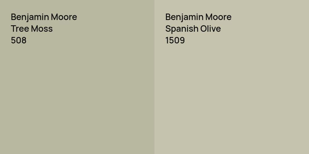 Benjamin Moore Tree Moss vs. Benjamin Moore Spanish Olive