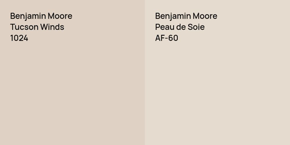 Benjamin Moore Tucson Winds vs. Benjamin Moore Peau de Soie