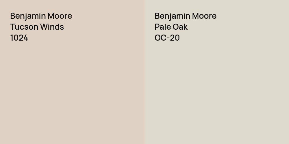 Benjamin Moore Tucson Winds vs. Benjamin Moore Pale Oak