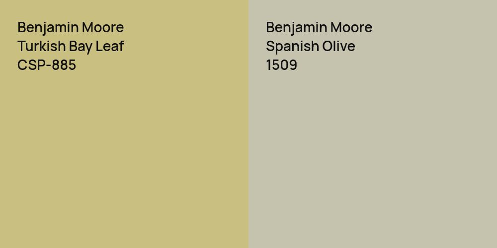 Benjamin Moore Turkish Bay Leaf vs. Benjamin Moore Spanish Olive