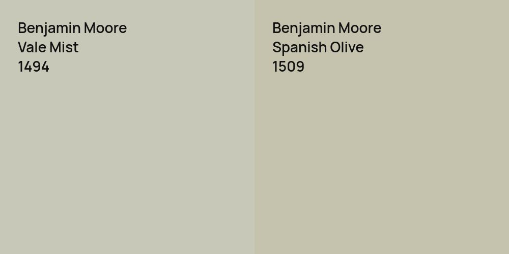 Benjamin Moore Vale Mist vs. Benjamin Moore Spanish Olive