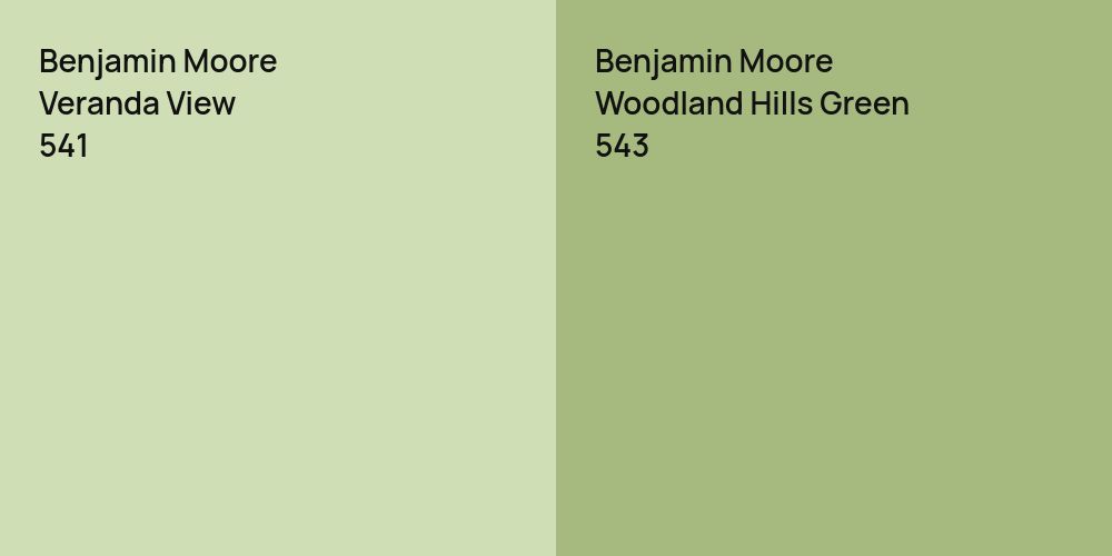 Benjamin Moore Veranda View vs. Benjamin Moore Woodland Hills Green