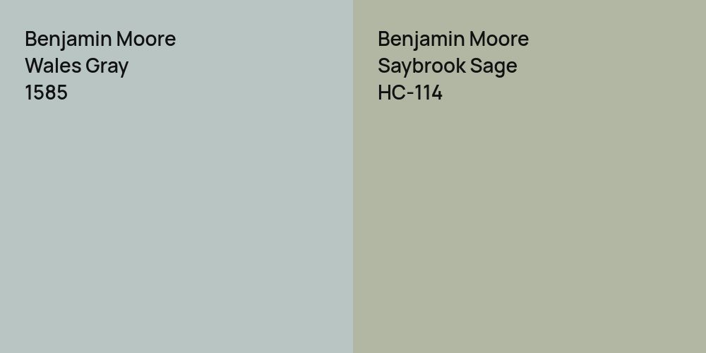 Benjamin Moore Wales Gray vs. Benjamin Moore Saybrook Sage