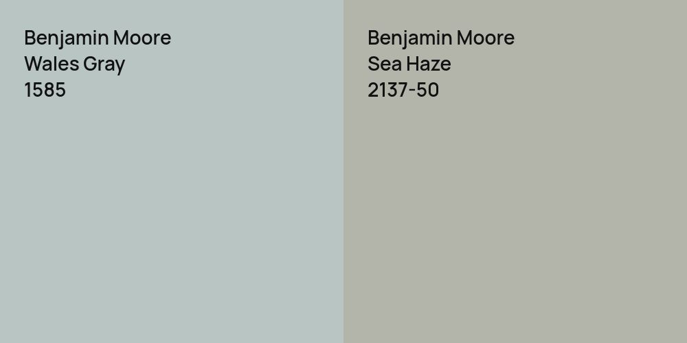 Benjamin Moore Wales Gray vs. Benjamin Moore Sea Haze