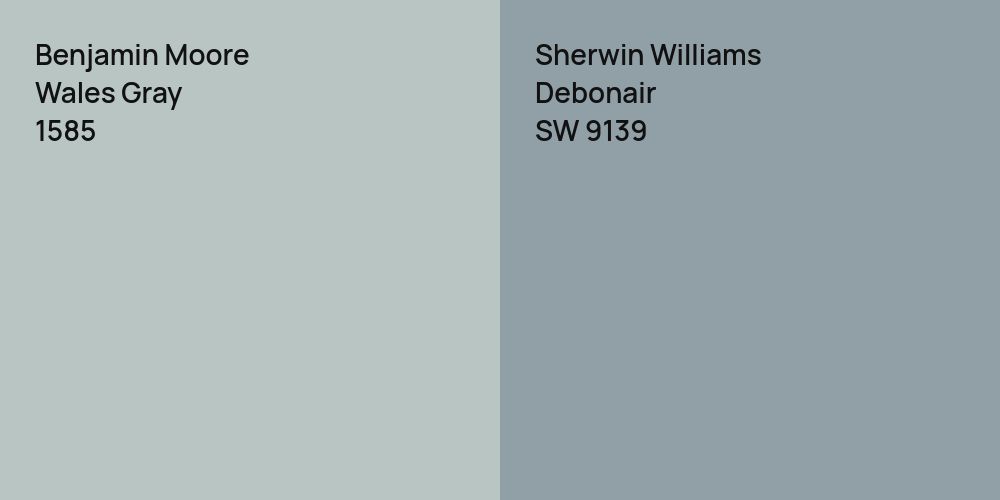 Benjamin Moore Wales Gray vs. Sherwin Williams Debonair