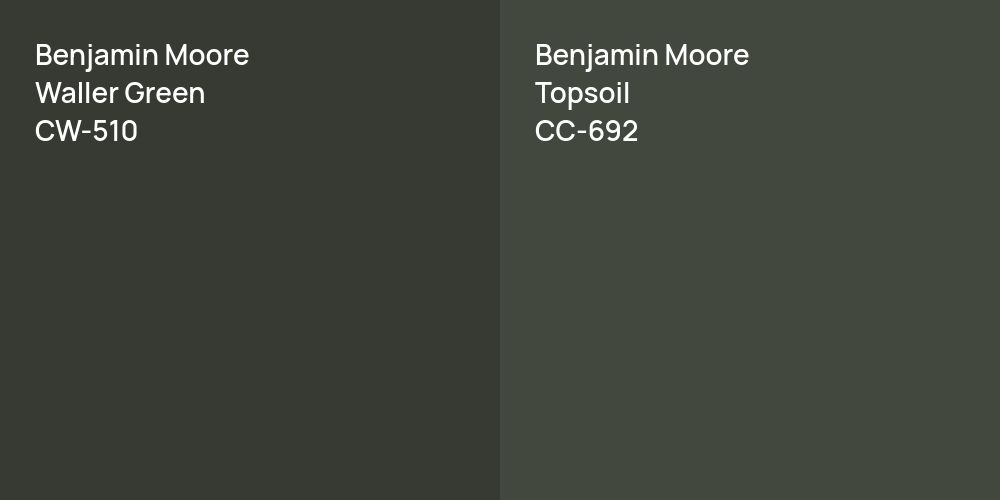 Benjamin Moore Waller Green vs. Benjamin Moore Topsoil