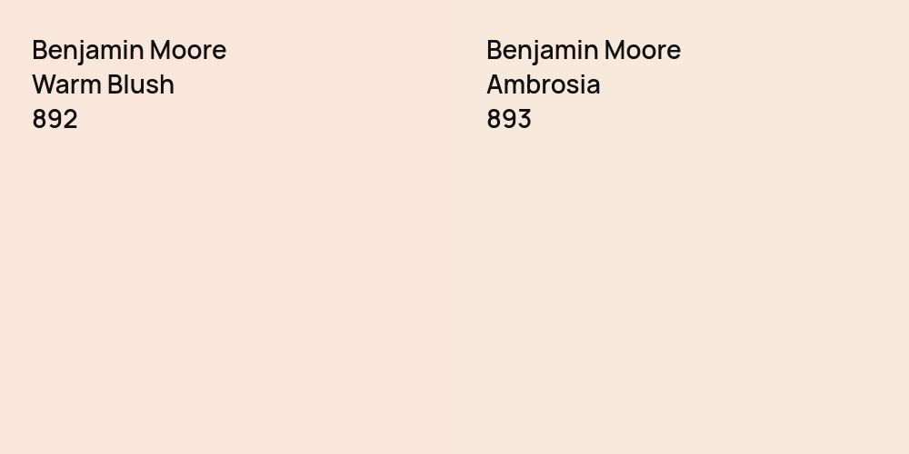 Benjamin Moore Warm Blush vs. Benjamin Moore Ambrosia