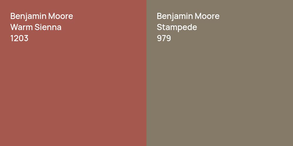 Benjamin Moore Warm Sienna vs. Benjamin Moore Stampede