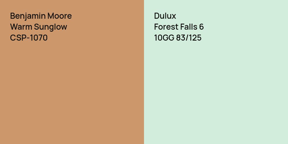 Benjamin Moore Warm Sunglow vs. Dulux Forest Falls 6