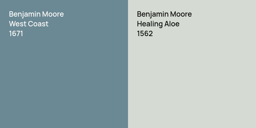 Benjamin Moore West Coast vs. Benjamin Moore Healing Aloe