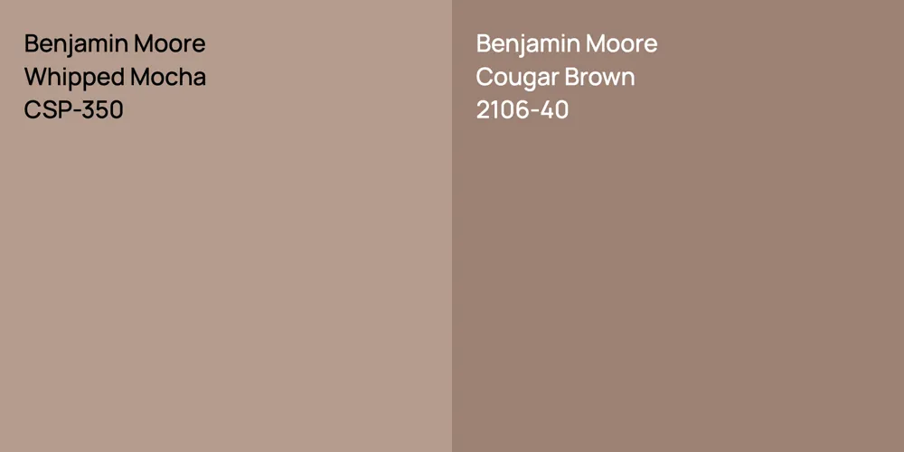 Benjamin Moore Whipped Mocha vs. Benjamin Moore Cougar Brown