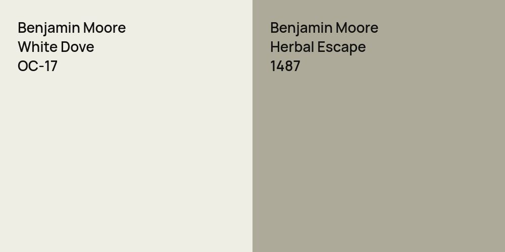 Benjamin Moore White Dove vs. Benjamin Moore Herbal Escape