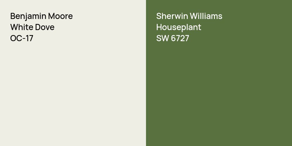 Benjamin Moore White Dove vs. Sherwin Williams Houseplant