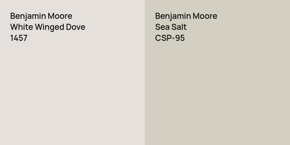 Benjamin Moore White Winged Dove vs. Benjamin Moore Sea Salt