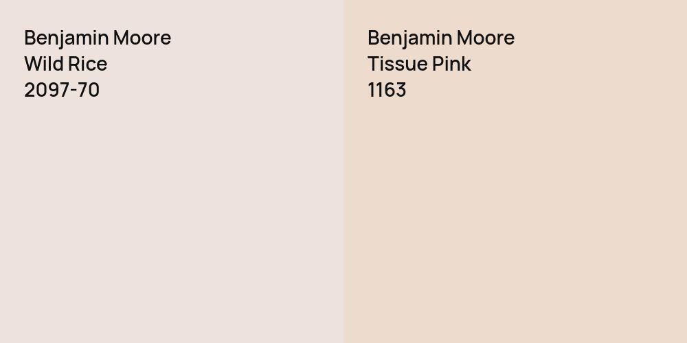 Benjamin Moore Wild Rice vs. Benjamin Moore Tissue Pink