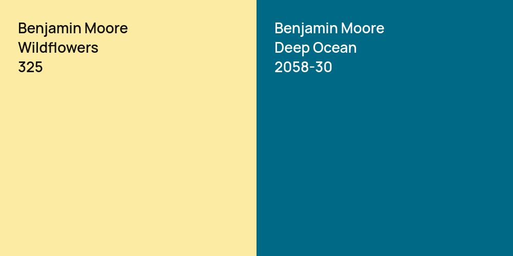 Benjamin Moore Wildflowers vs. Benjamin Moore Deep Ocean