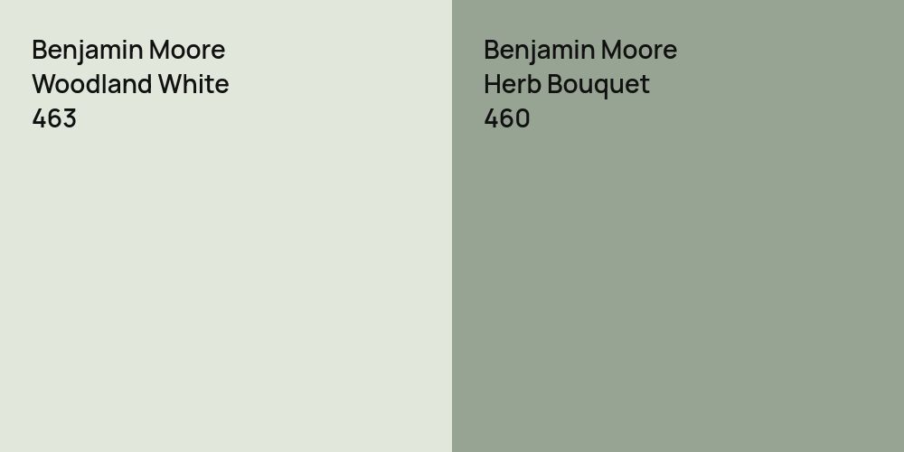 Benjamin Moore Woodland White vs. Benjamin Moore Herb Bouquet