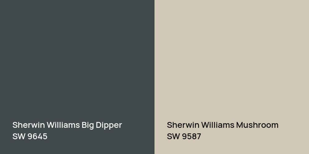 Sherwin Williams Big Dipper vs. Sherwin Williams Mushroom