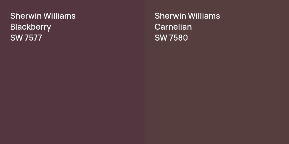 Sherwin Williams Blackberry vs. Sherwin Williams Carnelian