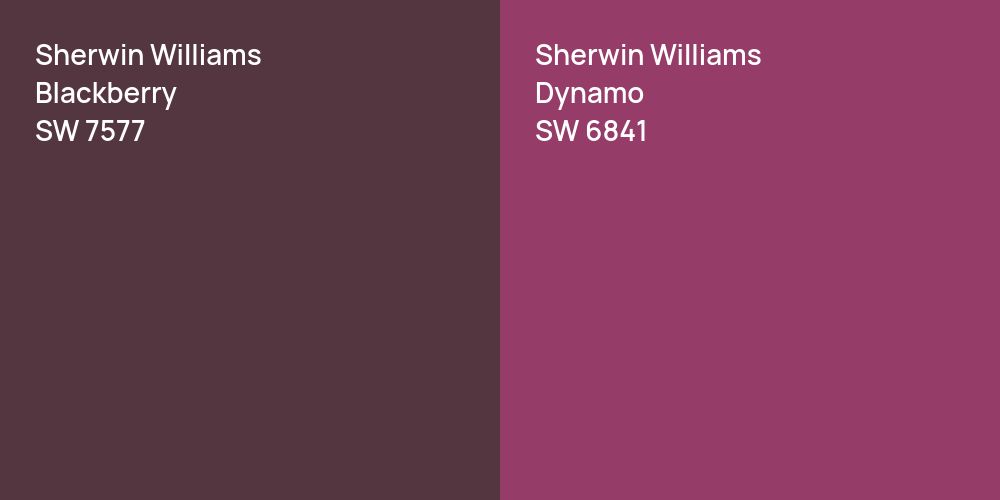 Sherwin Williams Blackberry vs. Sherwin Williams Dynamo