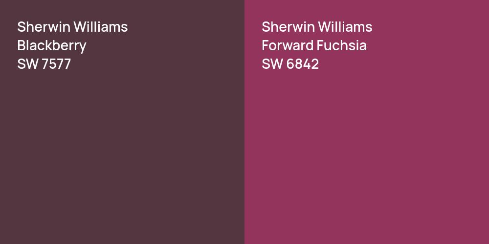 Sherwin Williams Blackberry vs. Sherwin Williams Forward Fuchsia