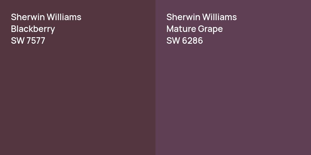 Sherwin Williams Blackberry vs. Sherwin Williams Mature Grape