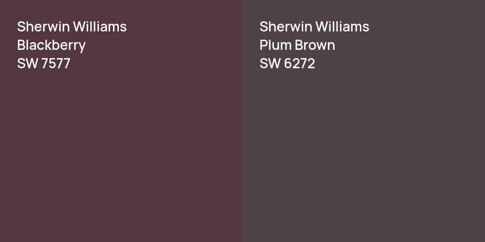 Sherwin Williams Blackberry vs. Sherwin Williams Plum Brown