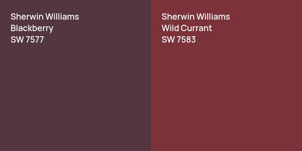 Sherwin Williams Blackberry vs. Sherwin Williams Wild Currant