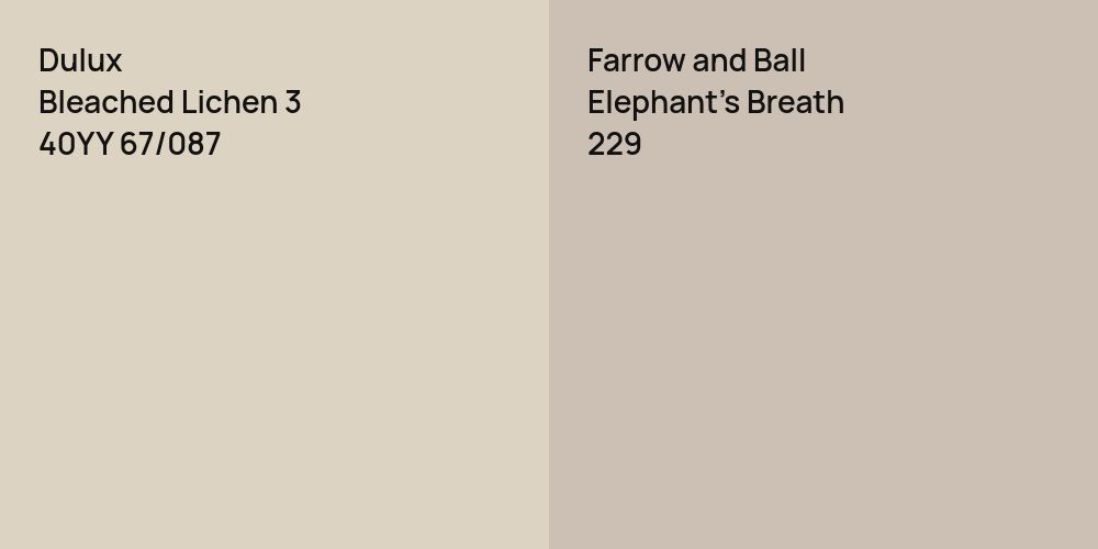 Dulux Bleached Lichen 3 vs. Farrow and Ball Elephant's Breath