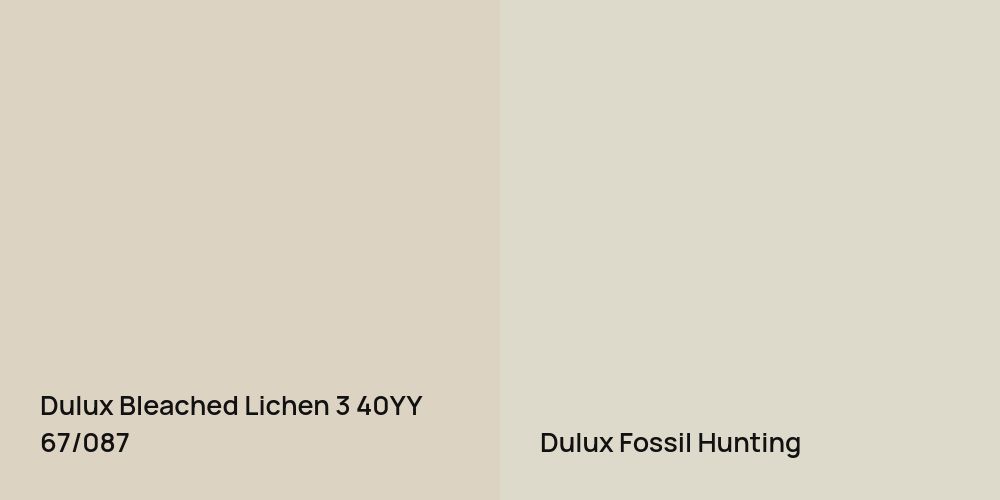 Dulux Bleached Lichen 3 vs. Dulux Fossil Hunting