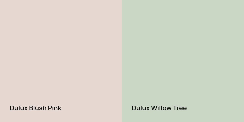 Dulux Blush Pink vs. Dulux Willow Tree