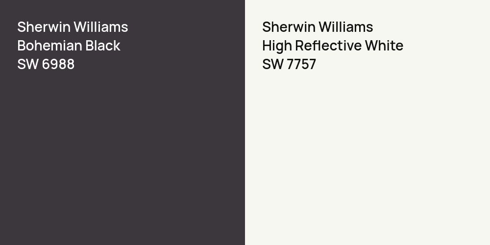 Sherwin Williams Bohemian Black vs. Sherwin Williams High Reflective White