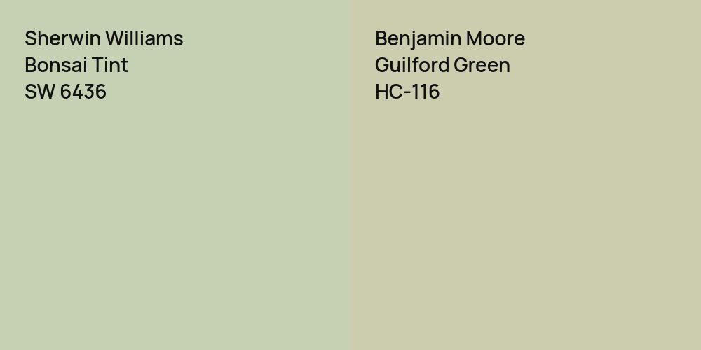 Sherwin Williams Bonsai Tint vs. Benjamin Moore Guilford Green