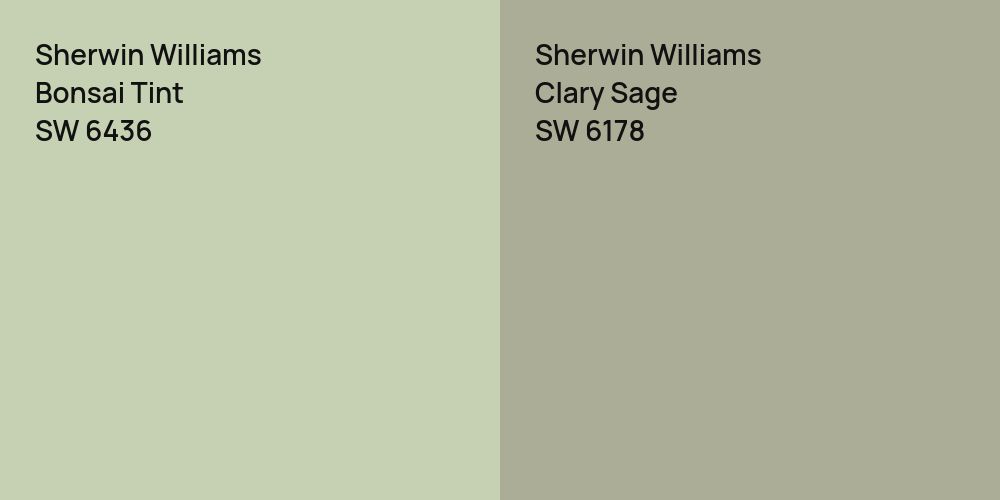 Sherwin Williams Bonsai Tint vs. Sherwin Williams Clary Sage